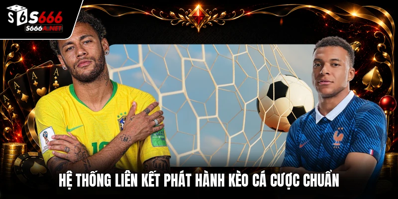 Hệ thống liên kết phát hành kèo cá cược chuẩn