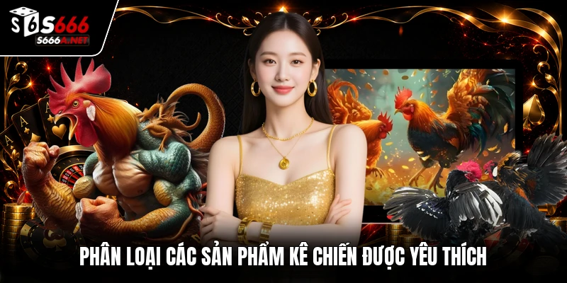 Phân loại các sản phẩm kê chiến được yêu thích