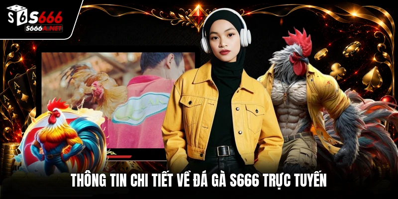 Thông tin chi tiết về đá gà S666 trực tuyến