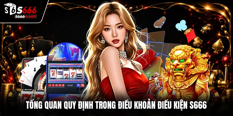 Tổng quan quy định trong điều khoản điều kiện S666
